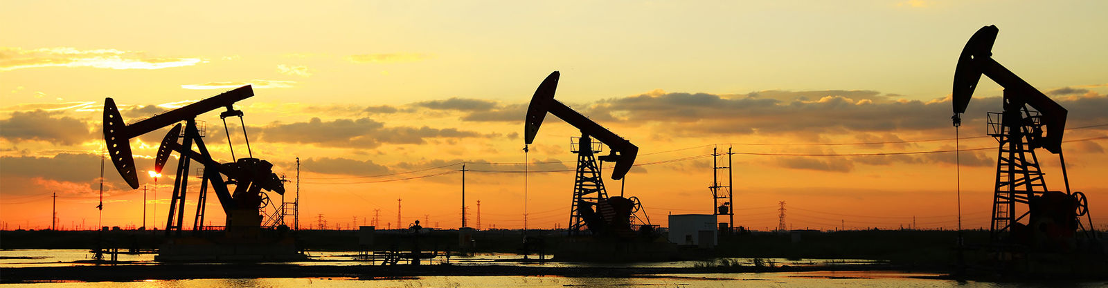 Conectores de fibra óptica