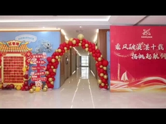 Reunião anual de 10 anos